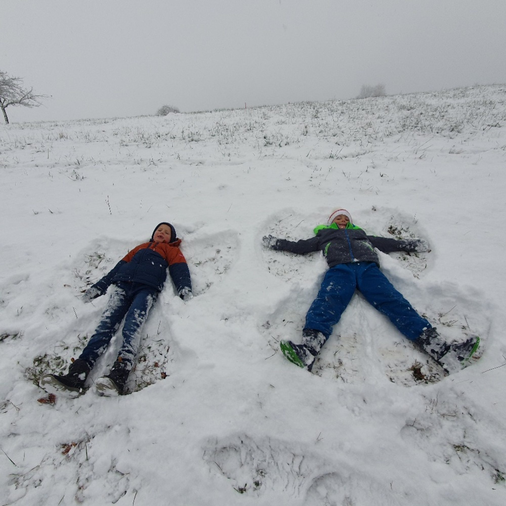 20251121_113317_resized